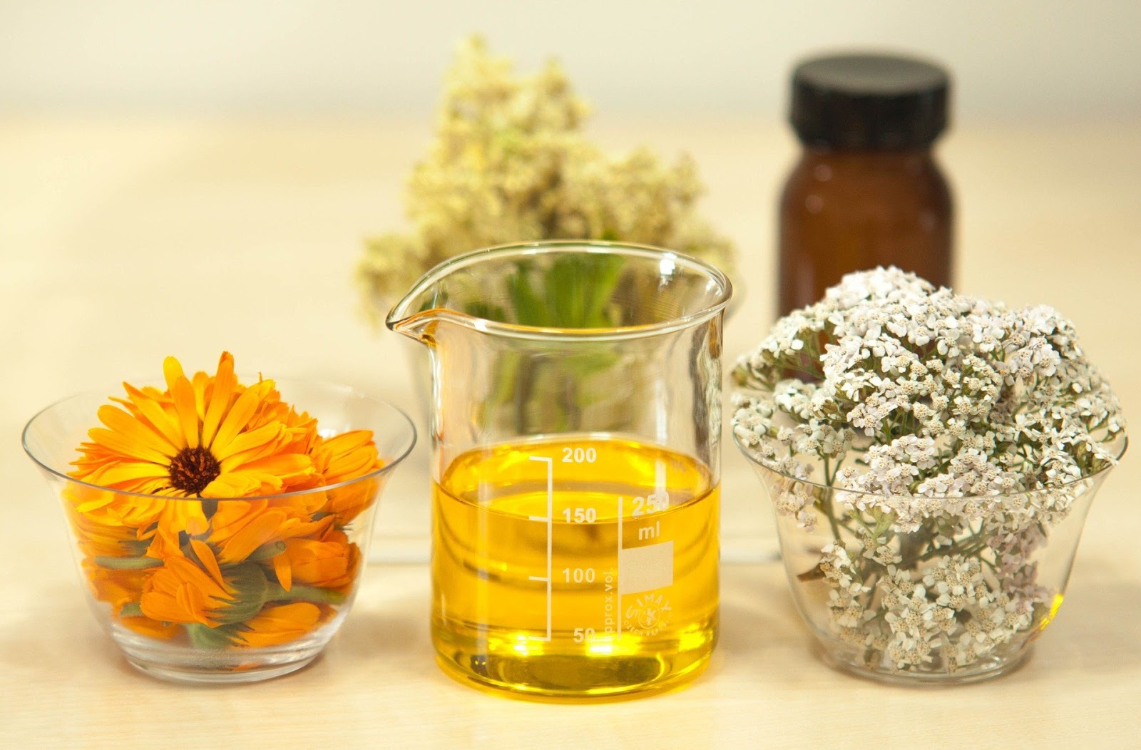 Carrier Oils: Finding the right carrier oil for your skin Natural Skincare Ingredients 